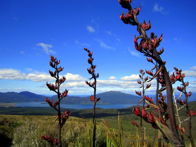 [IMG_3037%255B5%255D.jpg]