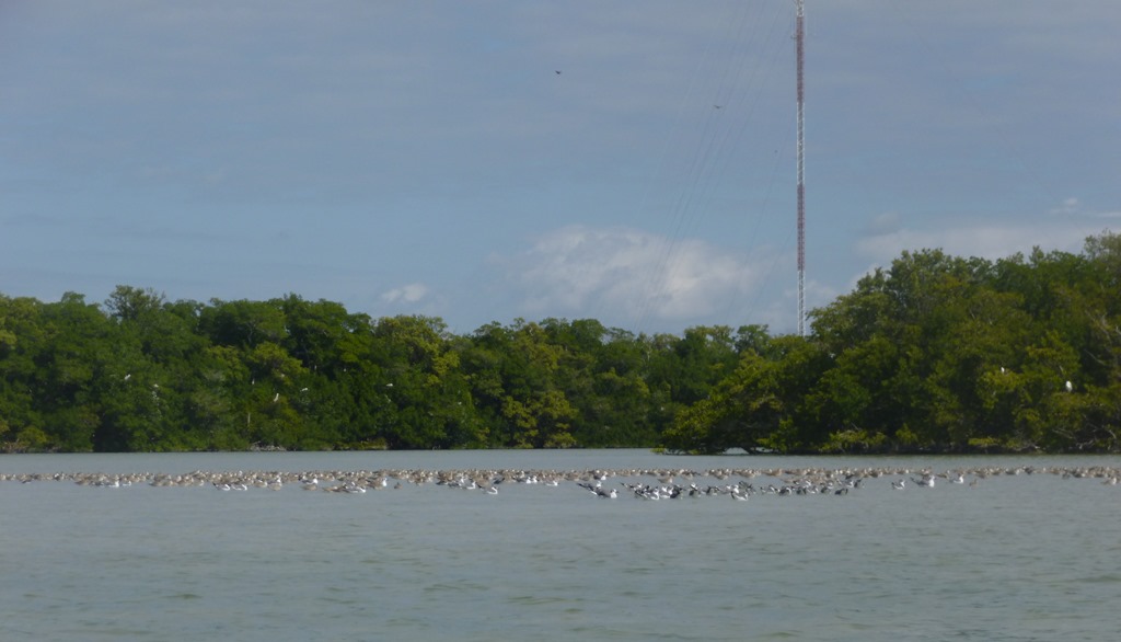[P10201368.jpg]
