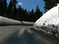 IMG_2487.JPG
