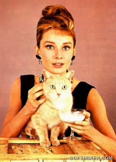 [b89a95f819%255B7%255D.jpg]