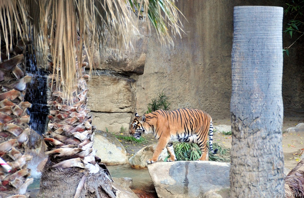 [DSC_3545edited%255B2%255D.jpg]
