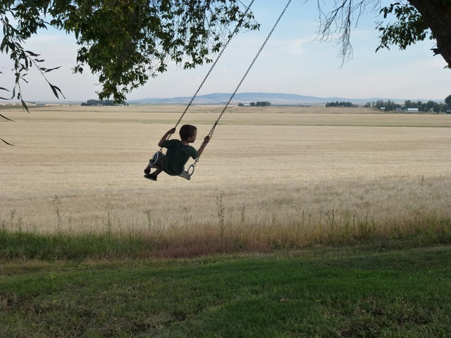 [P10105513.jpg]