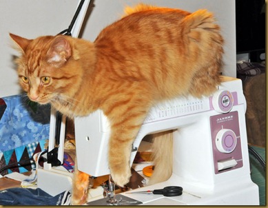 11March15Rusty 11March15Rusty