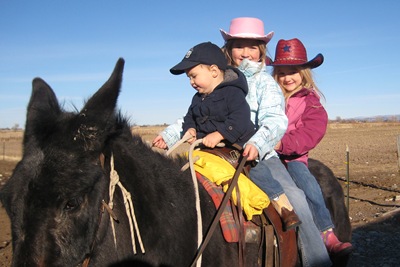 [IMG_0371%255B4%255D.jpg]