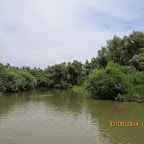 IMG_5209.JPG