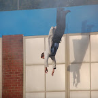 DSC_6801.JPG