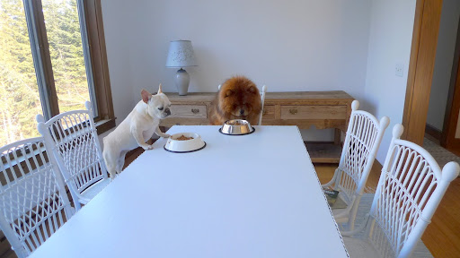 And we even get to eat at the dining room table!