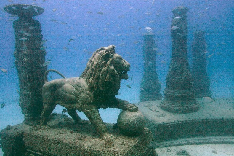 neptune-reef-2 neptune-reef-2