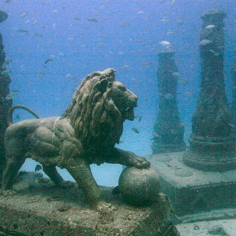 Neptune Memorial Reef An Underwater Cemetery Amusing