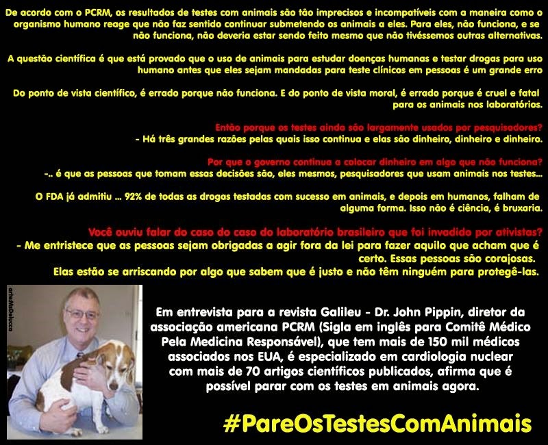 [pippin%255B3%255D.jpg]