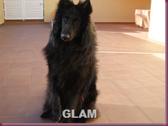 lotta y glam 002 lotta y glam 002