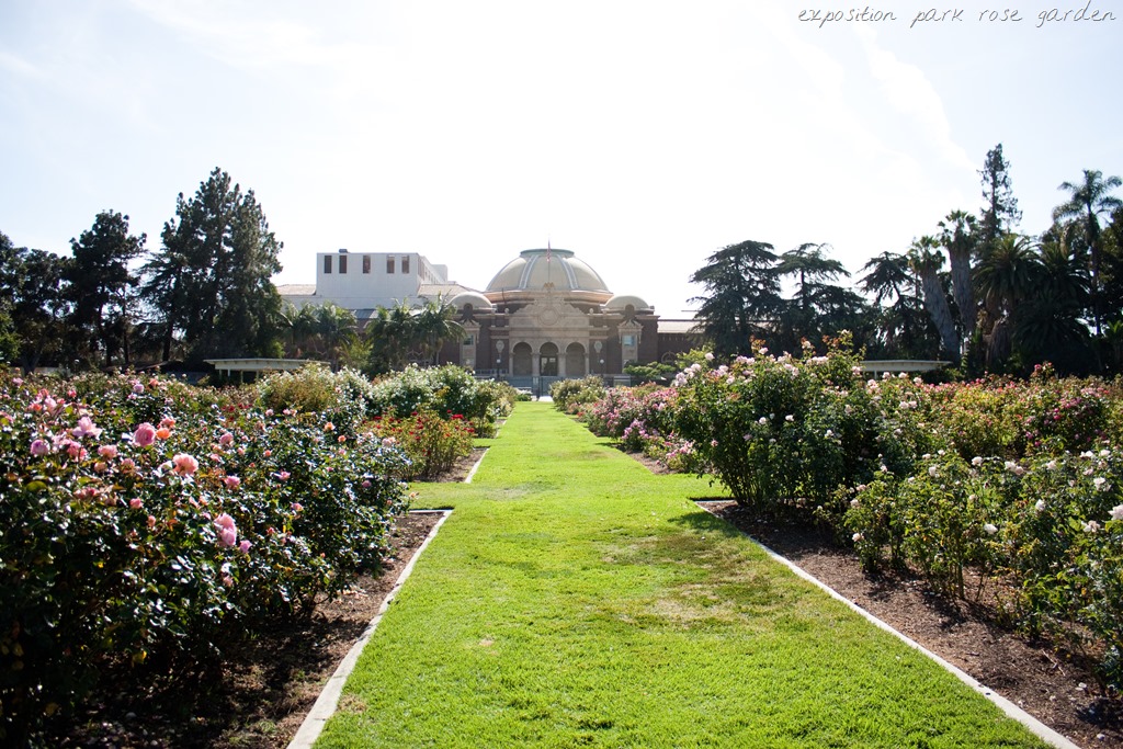 [20130621-IMG_157713.jpg]