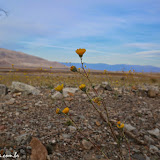 Death Valley NP - Califórnia, EUA