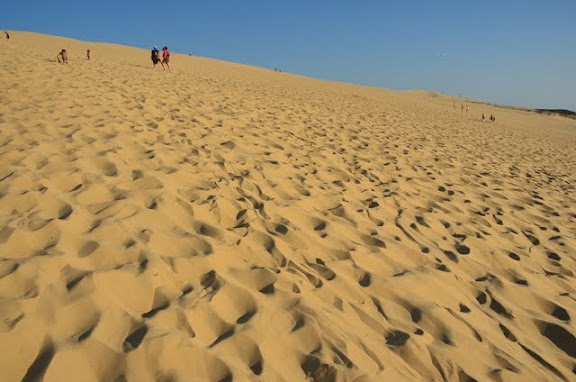 Dune di Pilat