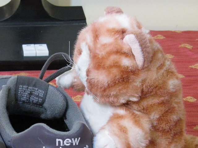 [IMG_8505CROPPED%255B6%255D.jpg]
