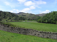 RIMG0091.JPG Photo
