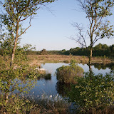 Hamberger Moor
