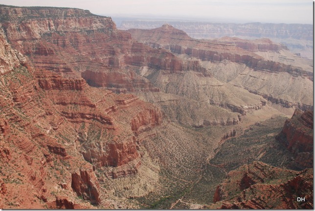 05-17-13 B Grand Canyon North Rim Drive (179)