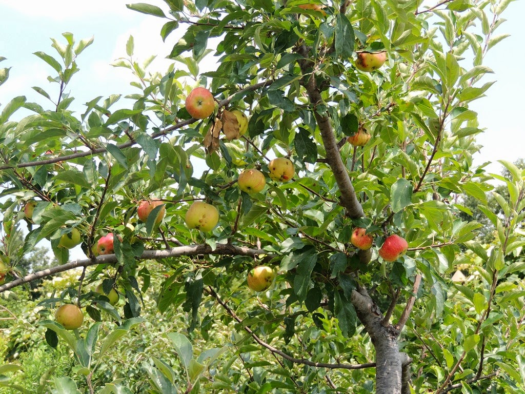 [DSCN9675%255B3%255D.jpg]