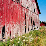 "The Red Barn" - copyright Christina Drane