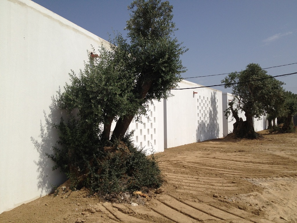 [IMG_2733%255B3%255D.jpg]