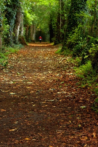 [Walk%2520away%252001%255B6%255D.jpg]