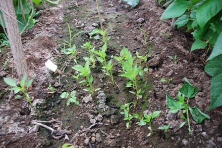 [DSC_0174%255B1%255D.jpg]