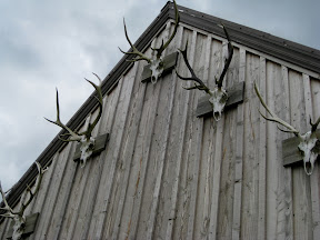 we stumbled across this old hunting lodge