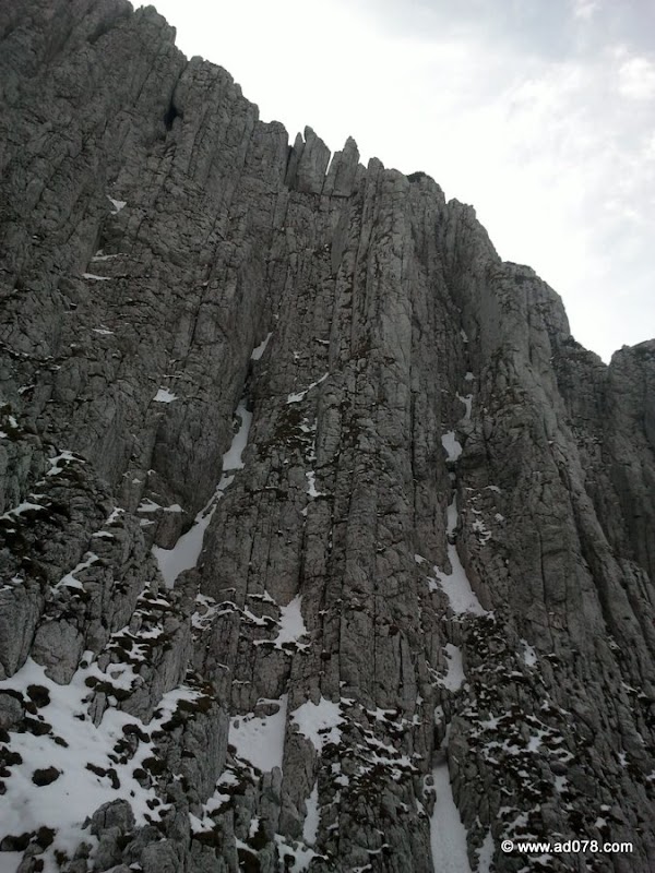 calinet-15.jpg