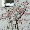 DSCN0112.JPG