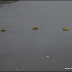 l020.jpg