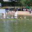 Bateaux Longs Seniors Brive 2011 Bateaux Longs Seniors Brive 2011