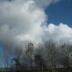 IMG_8777.JPG