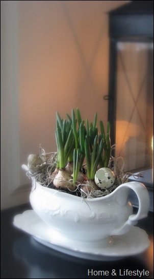Home & Lifestyle Home & Lifestyle