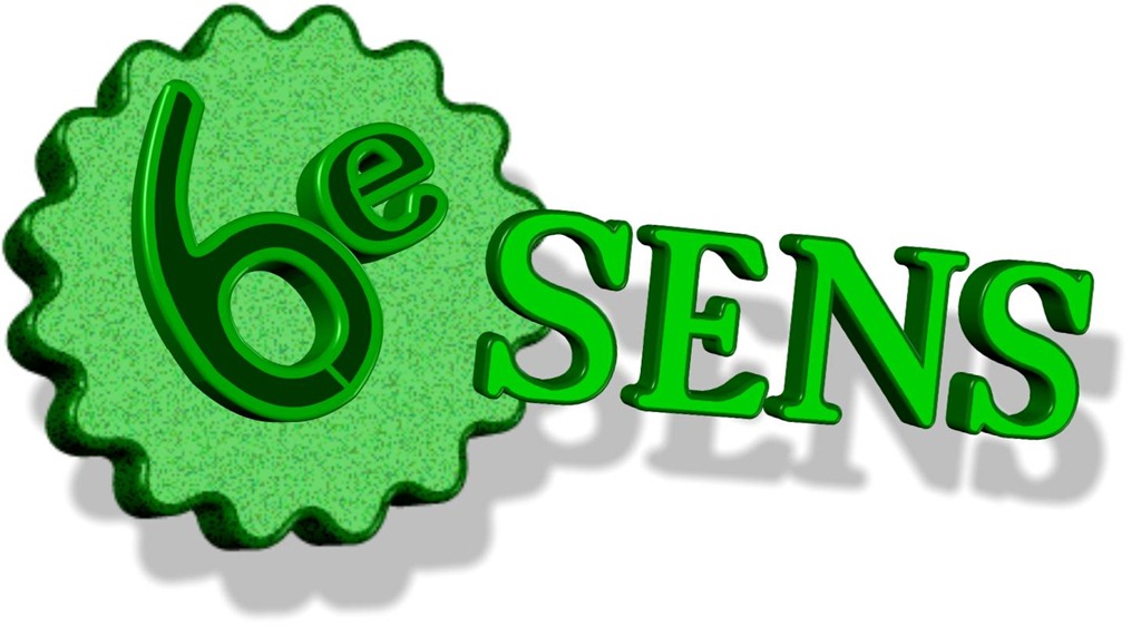 [6e%2520sens%255B4%255D.jpg]