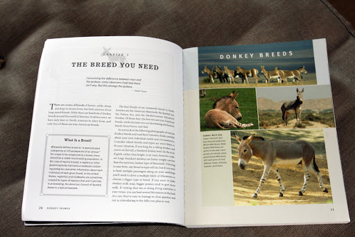 Wow, Sharkey!  I never realized there were so many different breeds of donkeys!  I guess we're so used to our Miniature Sicilian donks!