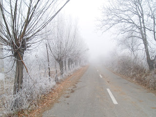 P1204584.JPG
