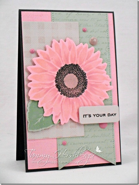 Happy Birthday, MFT Lady with My Favorite Things Splendid Sunflower by Tammy Hershberger Happy Birthday, MFT Lady with My Favorite Things Splendid Sunflower by Tammy Hershberger