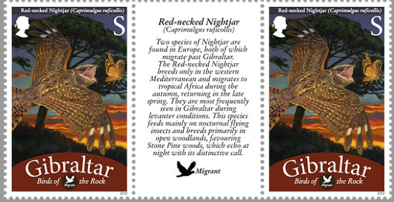 [image%255B20%255D.png]