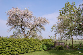 "Het kleine Paradijs" "natuur in de omgeving" lente