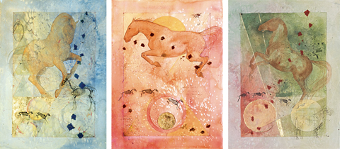 Ctannerprints