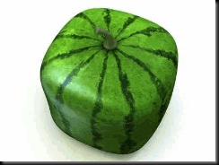 square-watermelon