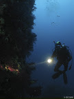 On the wall: a diver inspects the life