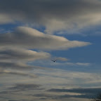 042-1.jpg 042-1.jpg