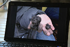 Some of those truffles are huge and can fetch around $50 an ounce!  We could be millionaires in no time!
