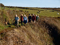 On the trail