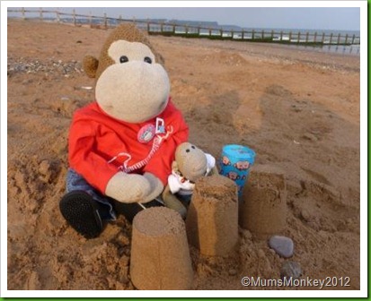 Sand Castles at Dawlish Warren