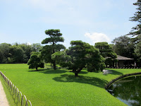 IMG_2389.JPG