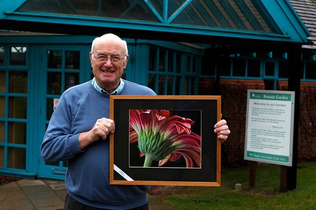 [Don_Bennett_at_Botanic_Gardens_2011_with_exhibition_picture%252C_Gerbera%252C_by_Tom_Heslop%255B4%255D.jpg]