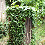 20100815_123_small.JPG